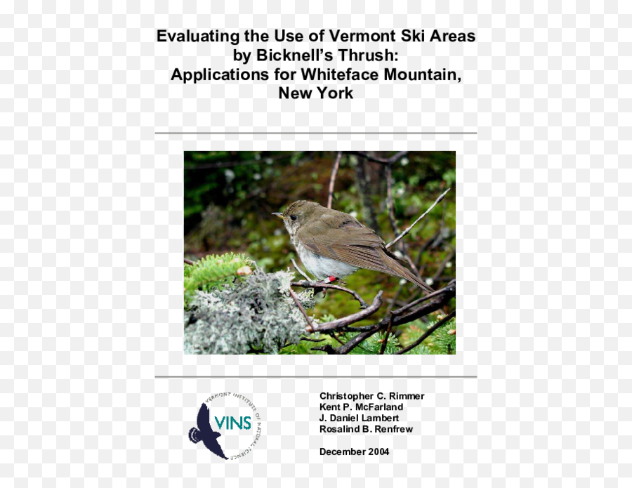 Pdf Evaluating The Use Of Vermont Ski Areas By Bicknellu0027s - Photo Caption Png,Icon 1000 Forestall Gloves
