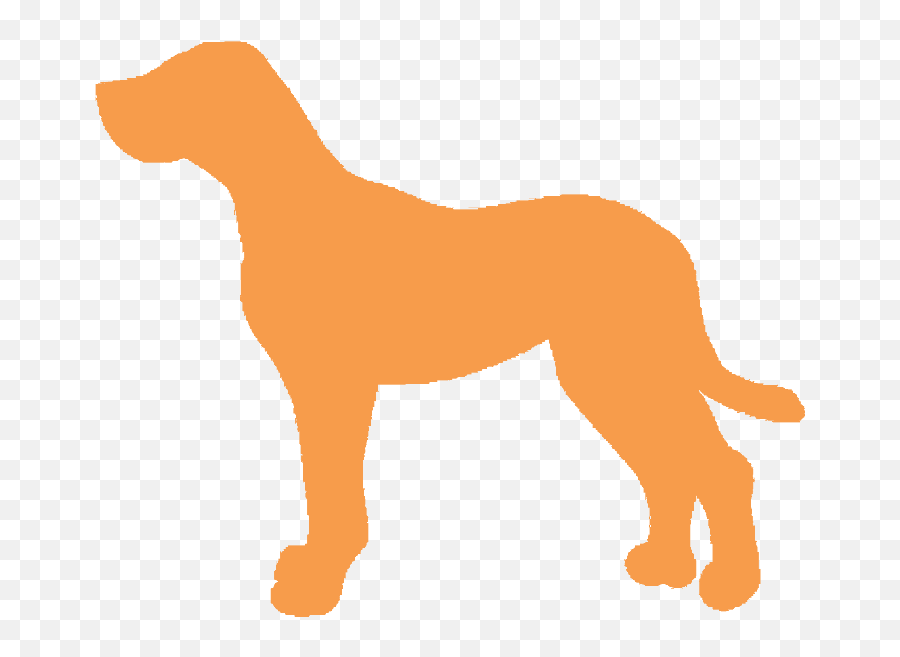 Norfolk Va - Guard Dog Png,Dog Walk Icon