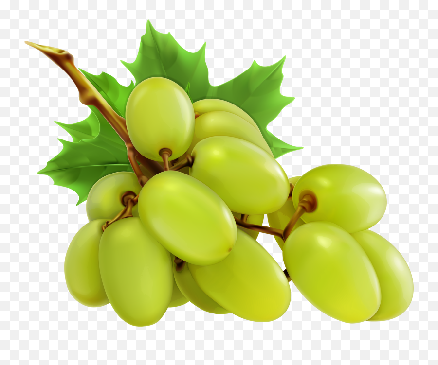 White Grapes Png Clipart - Green Grapes Vector Png,Grapes Png