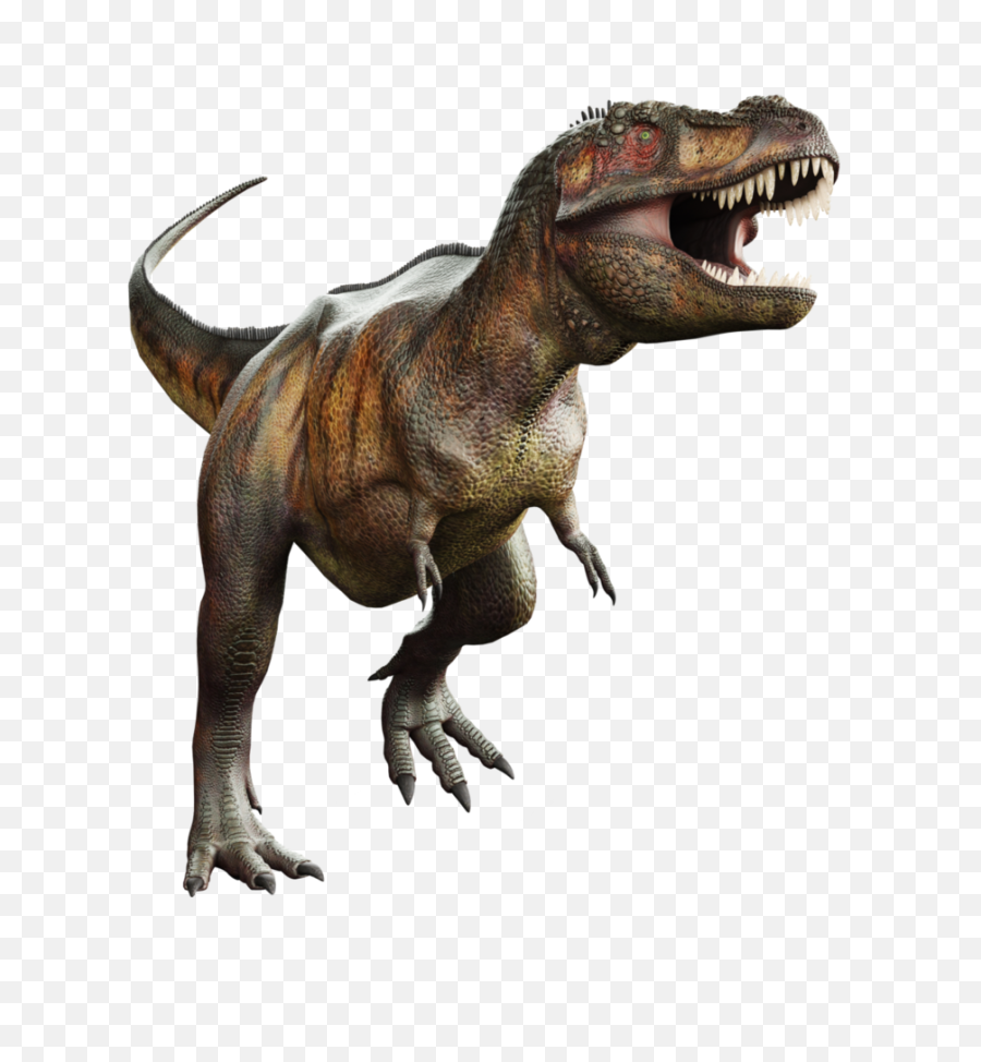 Download T Rex Png Transparent Picture - Tyrannosaurus Rex Transparent Background,Tyrannosaurus Rex Png