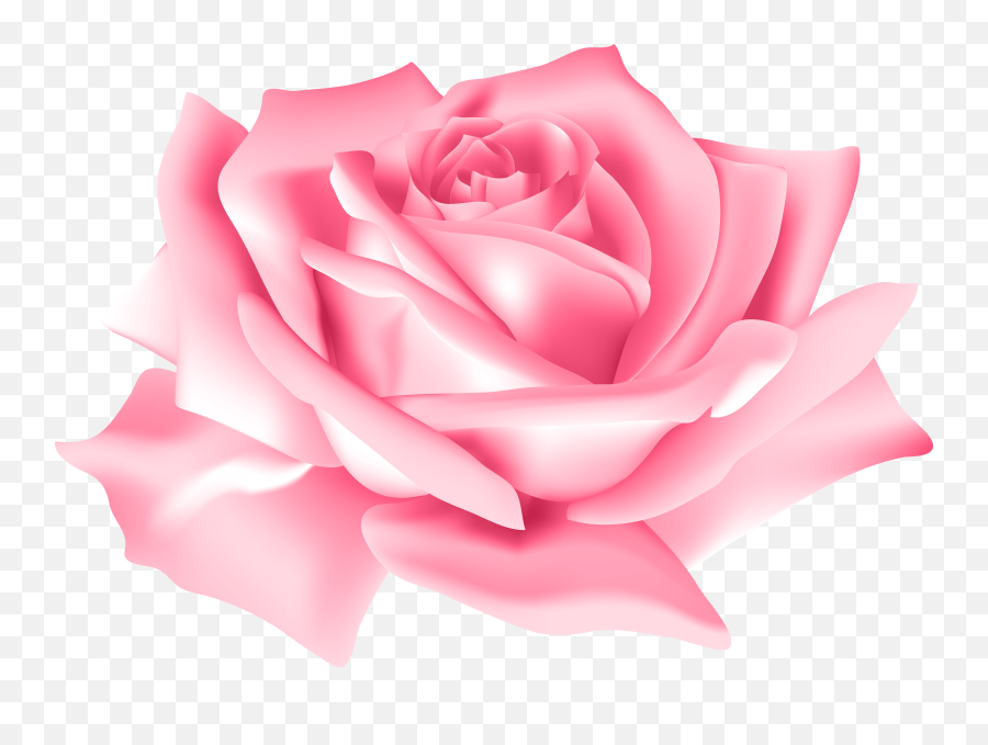 Pink Rose Flower Images Png - Pink Rose Flower Clip Art,Pink Rose Png