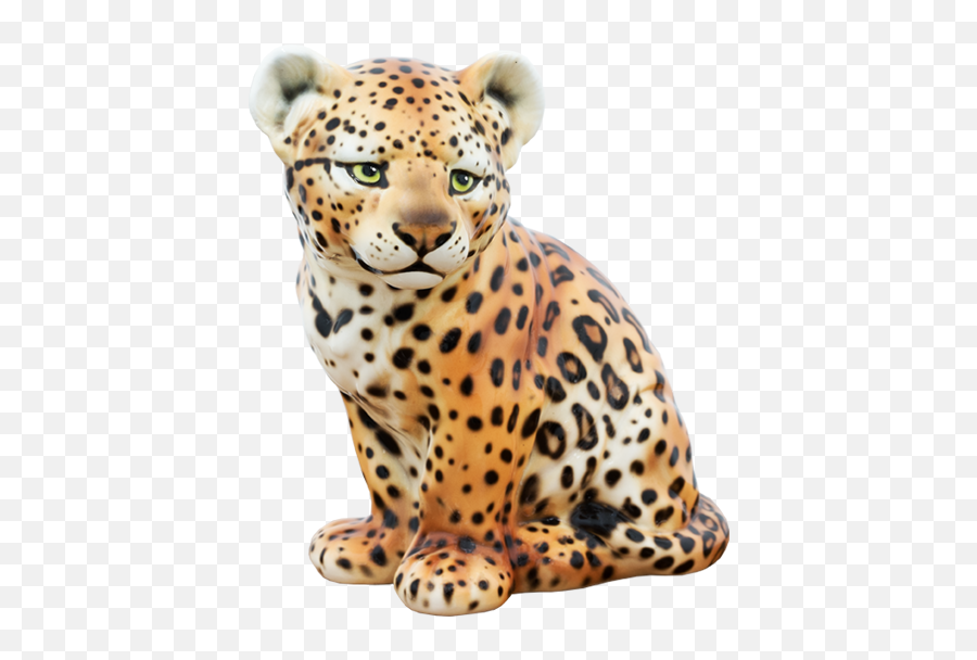 Jaguar Bebe Png 3 Image African Leopard Jaguar Png Free Transparent Png Images Pngaaa Com