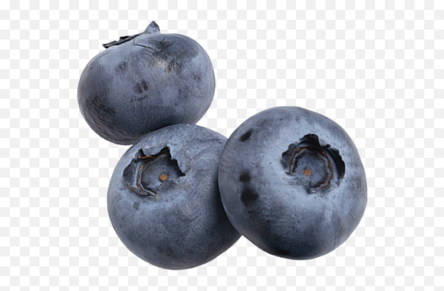 Produce Lovers - Blueberry Png,Blueberries Png