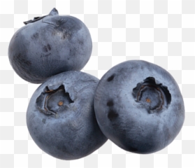 Produce Lovers - Blueberry Png,Blueberries Png