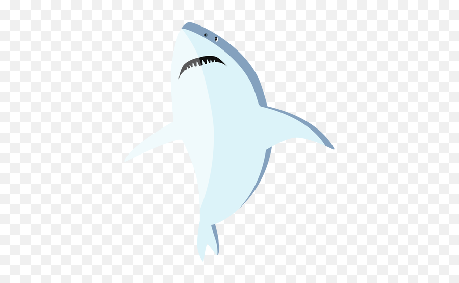 Transparent Png Svg Vector File - Great White Shark,Shark Fin Png