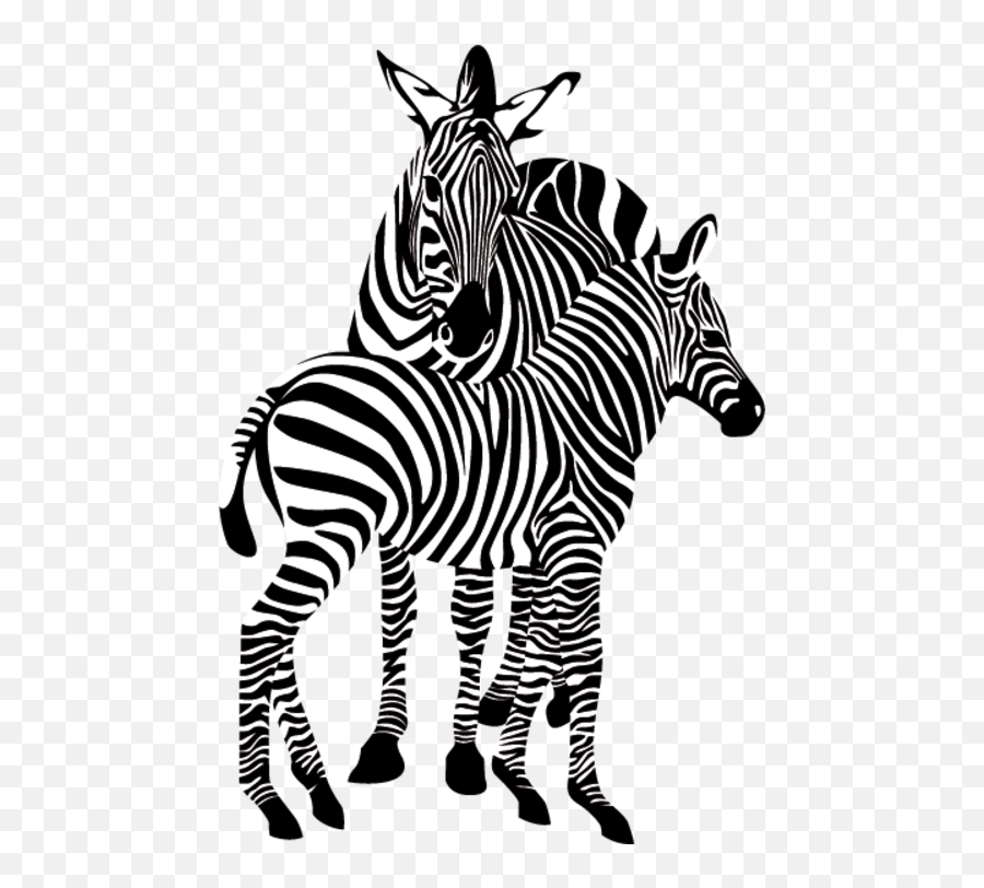 Gif Transparent Background Clipart - Zebras On White Background Png,Zebra Transparent Background