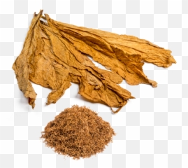 Tobacco Png - Transparent Tobacco Leaf Png,Tobacco Png