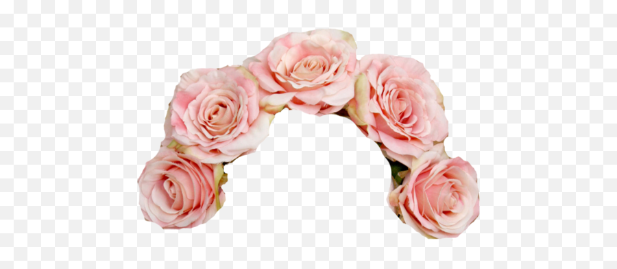 Tumblr Flower Crown Png Image - Pink Flower Crown Png,Flower Crown Transparent