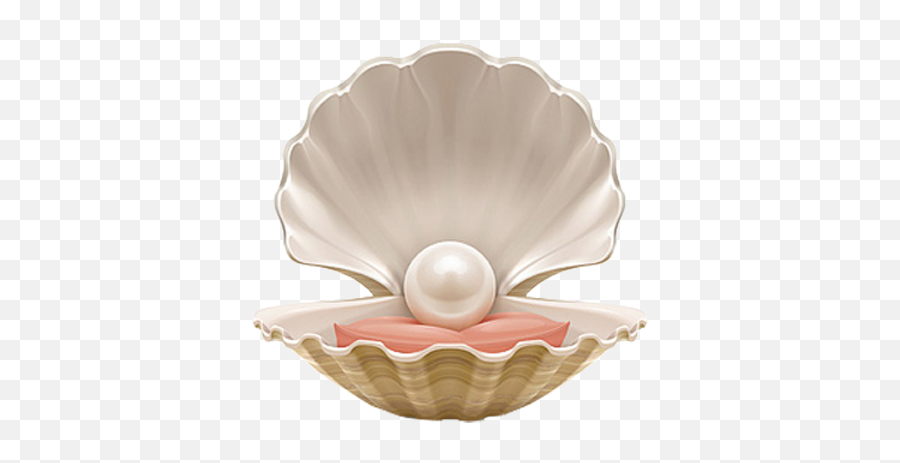 Pearl Shell Png Image - Imagenes De Concha De Mar,Pearl Transparent Background