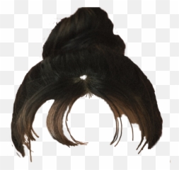 Hair Hairstyle Updo Bun Messy - Messy Bun No Head Png,Bun Png