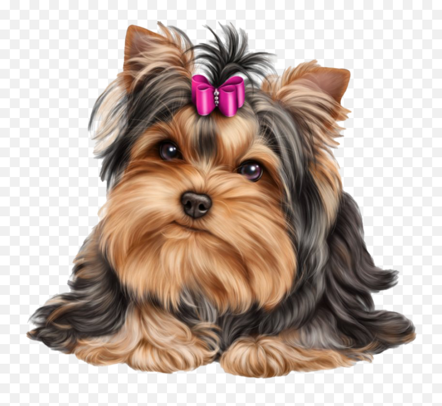 Cute Yorkshire Terrier Dog - Yorkie Png,Cute Dog Png