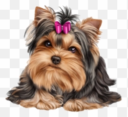 Cute Yorkshire Terrier Dog - Yorkie Png,Cute Dog Png