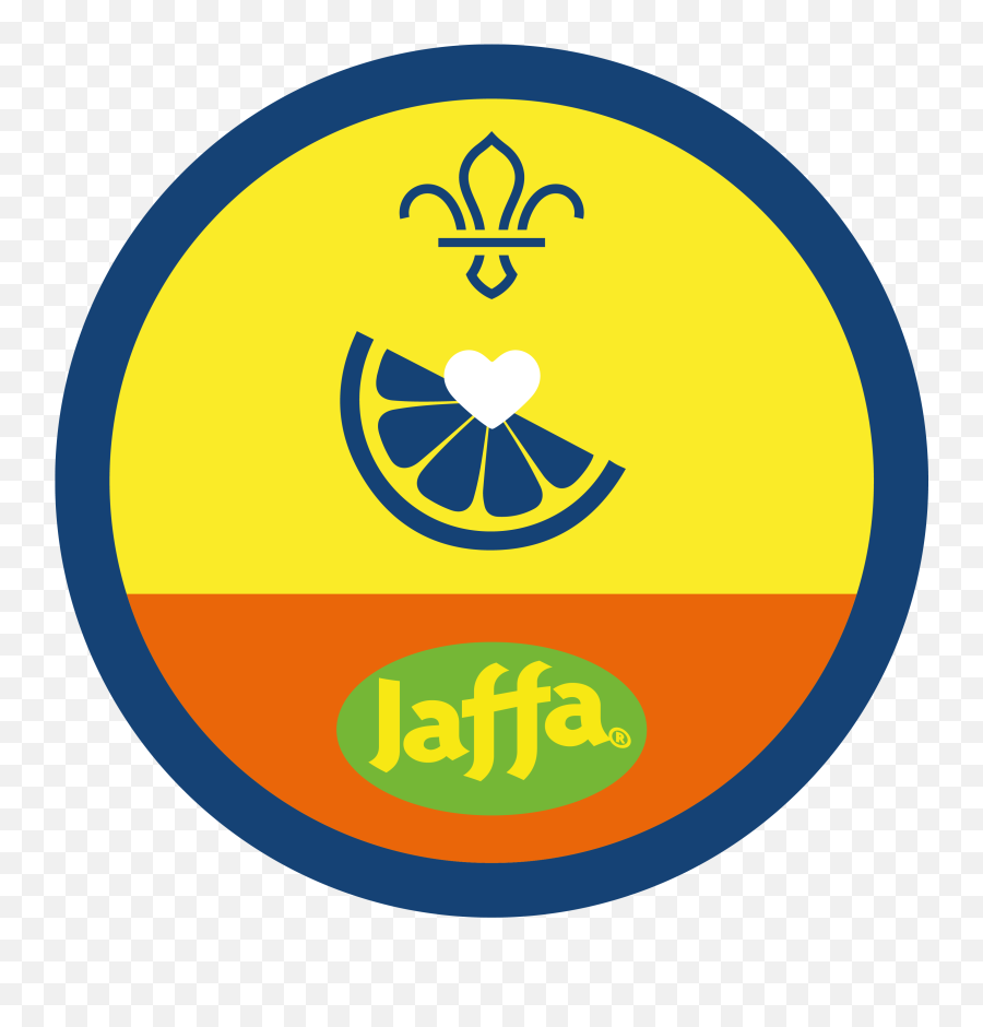 Dodgeball Dream Team Activities Scouts - Jaffa Orange Png,Dodgeball Png