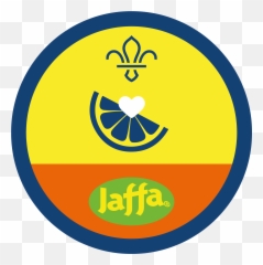 Dodgeball Dream Team Activities Scouts - Jaffa Orange Png,Dodgeball Png
