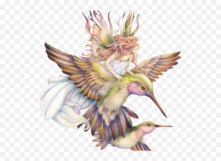 Download Hummingbird Tattoos Png - Fairy And Hummingbird Tattoo,Hummingbird Png