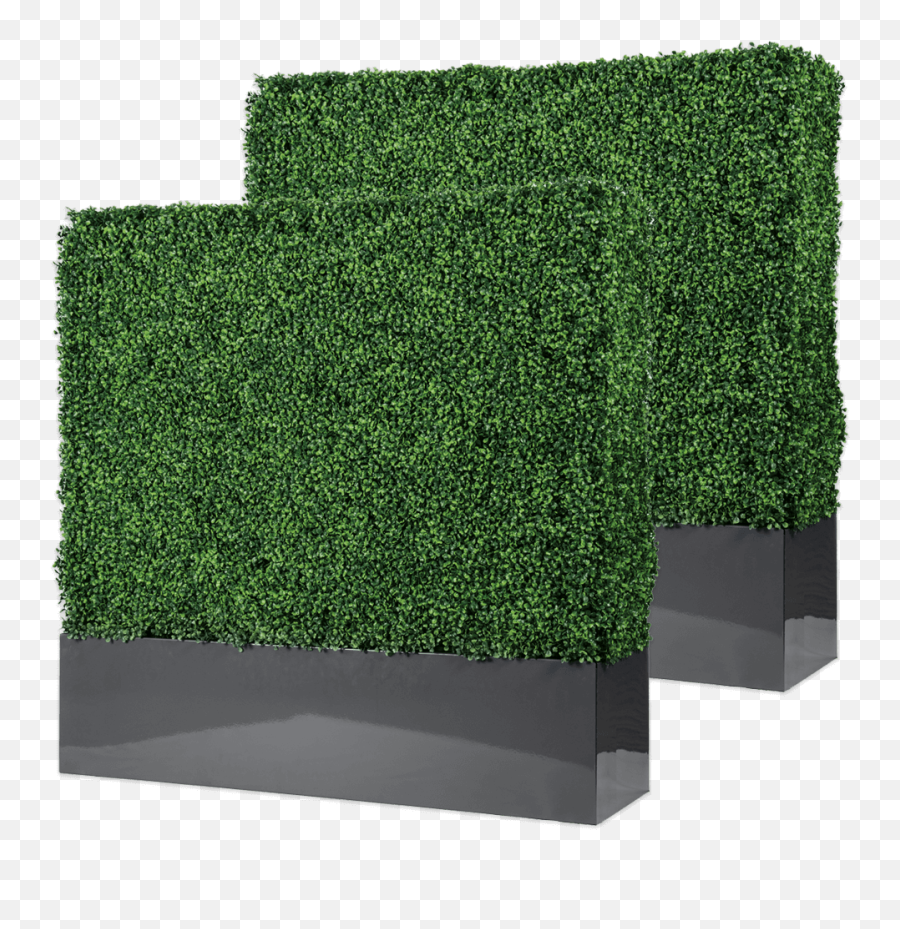 Free Standing Boxwood Hedge - Hedge With Planter Box Png,Boxwood Png