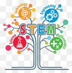 Engineering Science And Maths - Science Technology Engineering And Mathematics Png,Stem Png