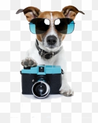 Hd Casey Neistat - Pet Photo Shoot Fundraiser Png,Casey Neistat Png