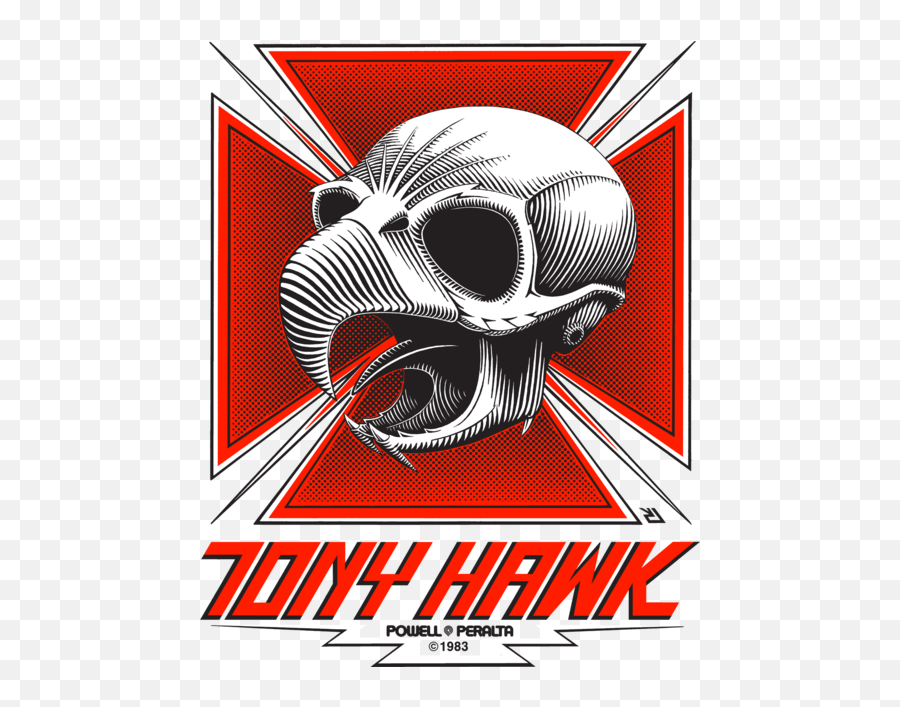 Unnamed - Powell Peralta Tony Hawk Png,Tony Hawk Png