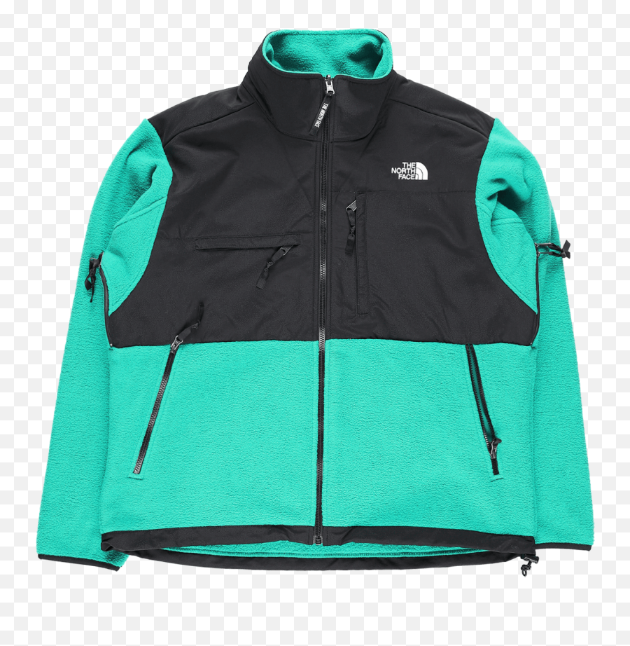 North Face 95 Retro Denali Jacket - Jaiden Green Fleece Jacket Png,Nico Icon 1995