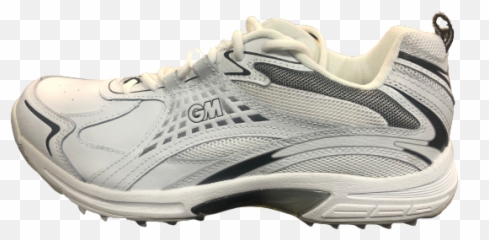 Gm Shoes - Round Toe png