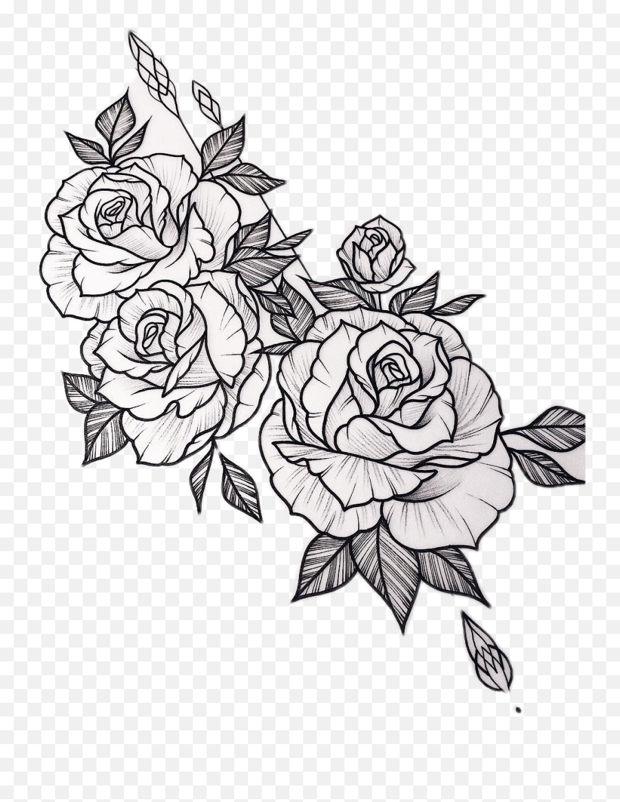 Sketch of rose for tattoo free image download
