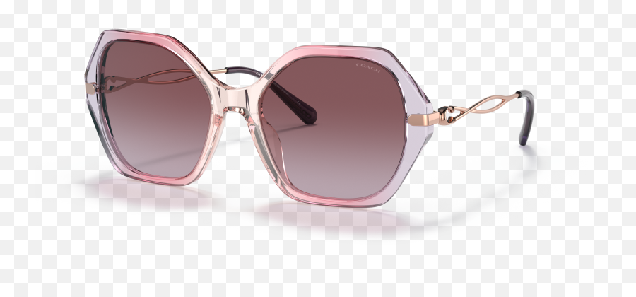 Coach 0hc8315 Sunglasses In Pinkpurple Target Optical - Full Rim Png,Icon D30