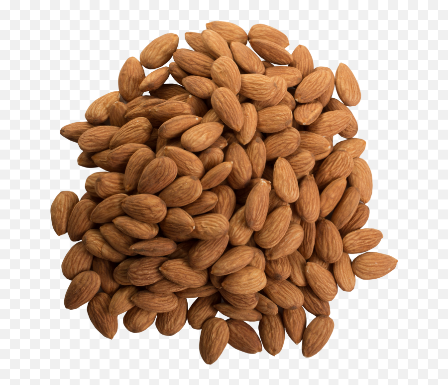 Almonds Themealdb - Raw California Almond Png,Almonds Png