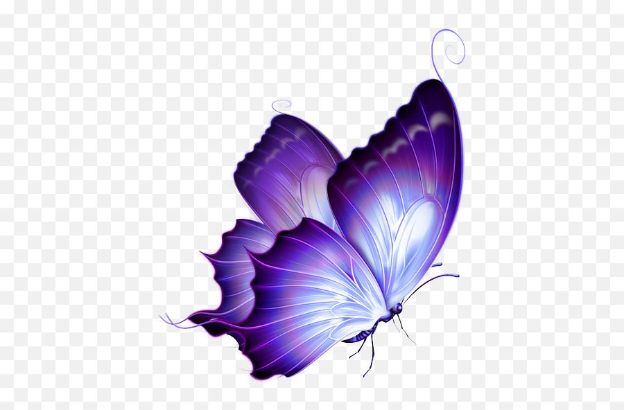 Pin By Laura Chambard - Purple Butterfly Png,Butterfly Tattoo Png