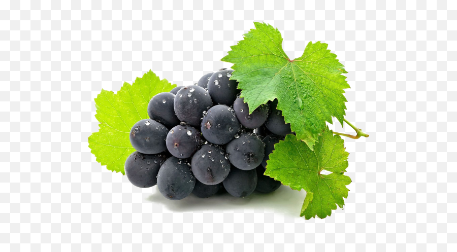 Hd Png Transparent Grapes - Farut Images Hd Png,Grapes Png