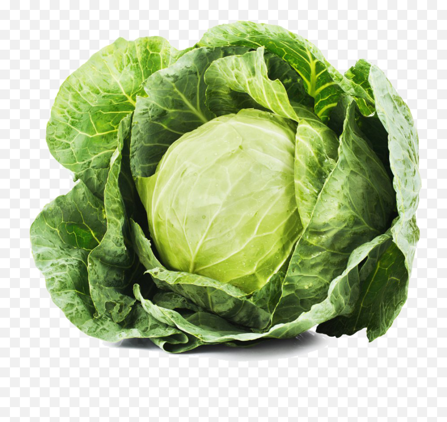 Png Red Cabbage Leaf Vegetable Food - Cabbage Png,Cabbage Png