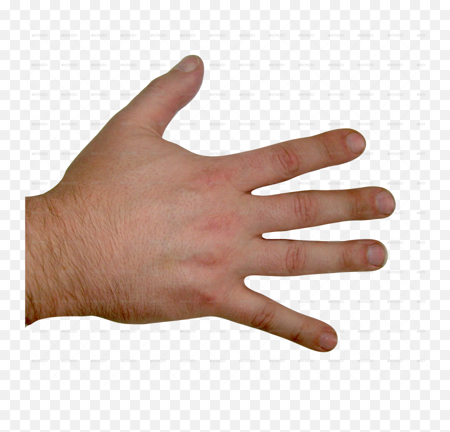 Back Of Hand Png Picture - Preview,Back Of Hand Png