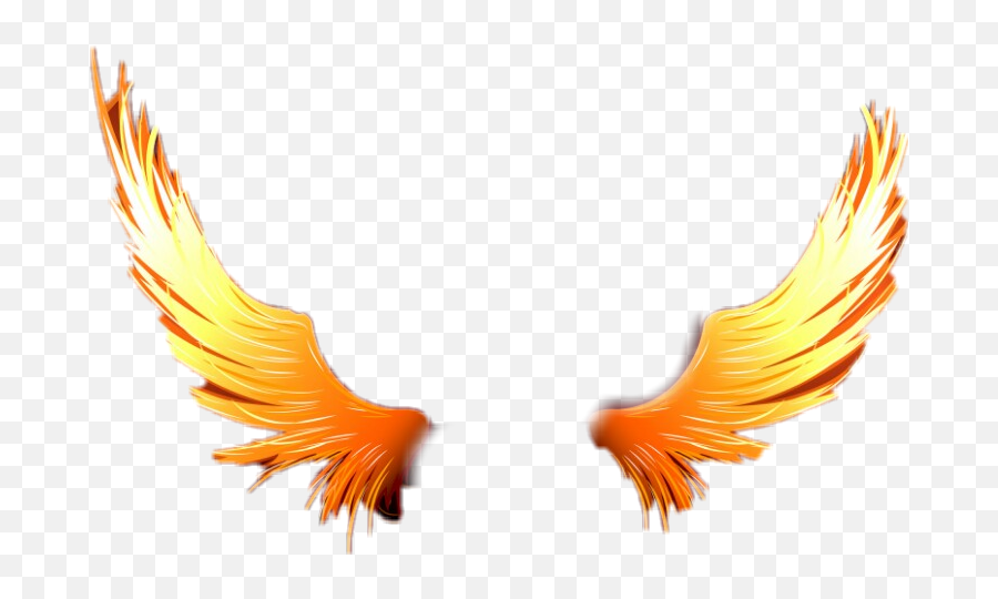 angel wings on fire