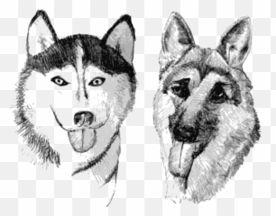 German Shepherd Png - Husky And German Shepherd Clipart,Husky Png