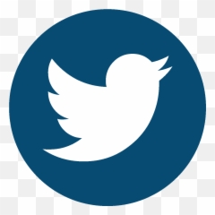 Twitter Logo Aesthetic Clipart - Social Media Single Icons Png,Share Logo