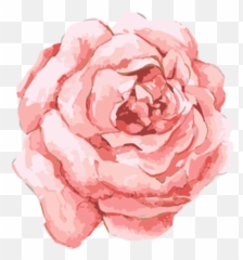 Free Png Flowers - Watercolor Pink