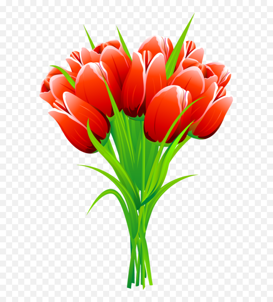 Red Tulip Png - Tulip Flower Clipart Tulips Clipart Transparent Flowers Bouquet Clipart,Tulip Png