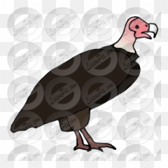 Lessonpix Mobile - Turkey Vulture Png,Vulture Png