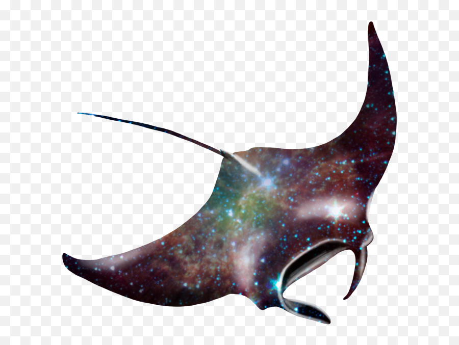 Free Png Galaxy Manta Ray - Giant Manta Ray Art,Manta Ray Png