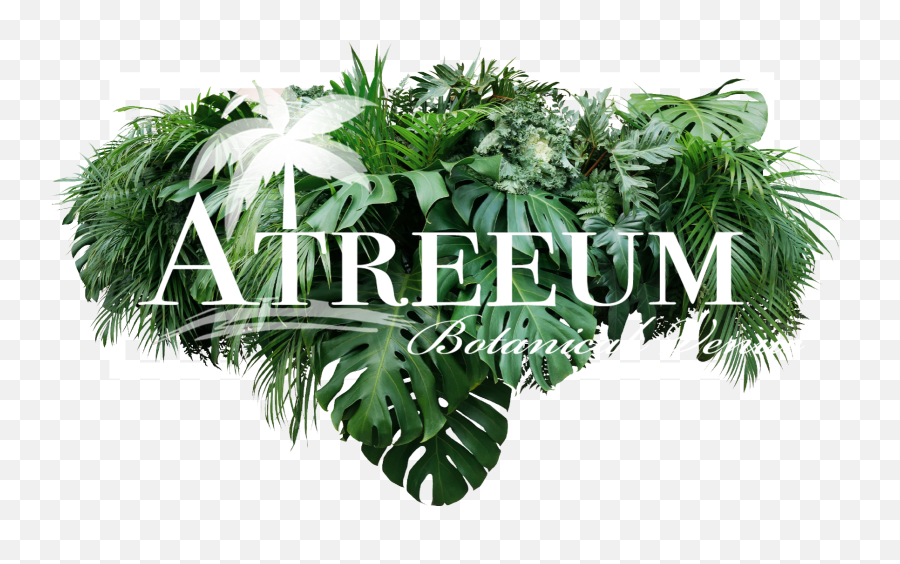 Atreeum Botanical Venue U2013 Wichita Kansas Tropical Wedding Png