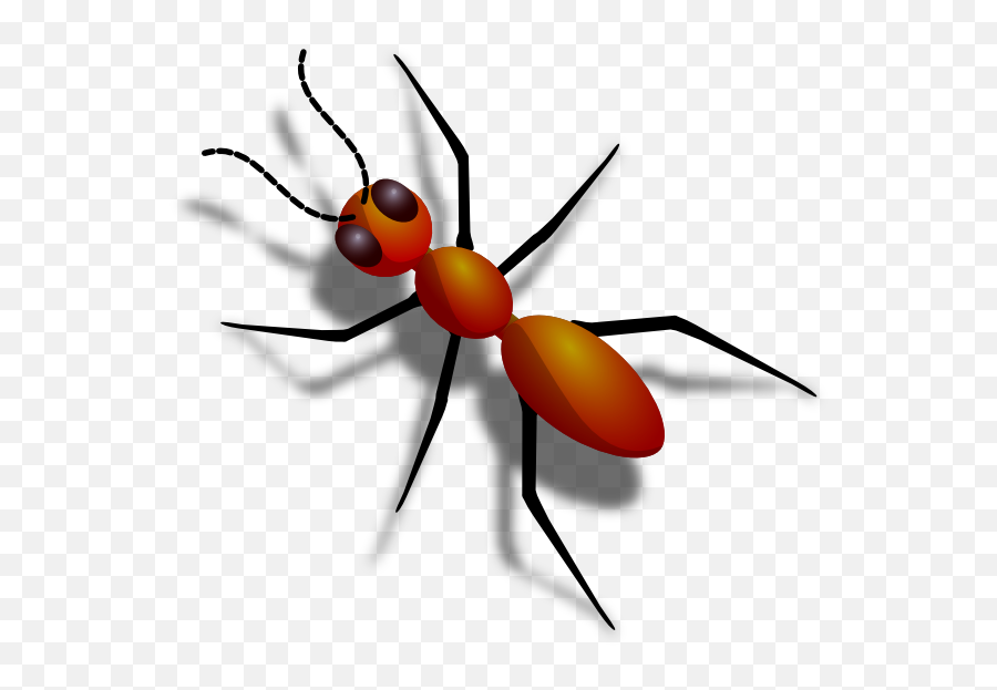 Ant Clipart Png - Carpenter Ant,Ant Transparent
