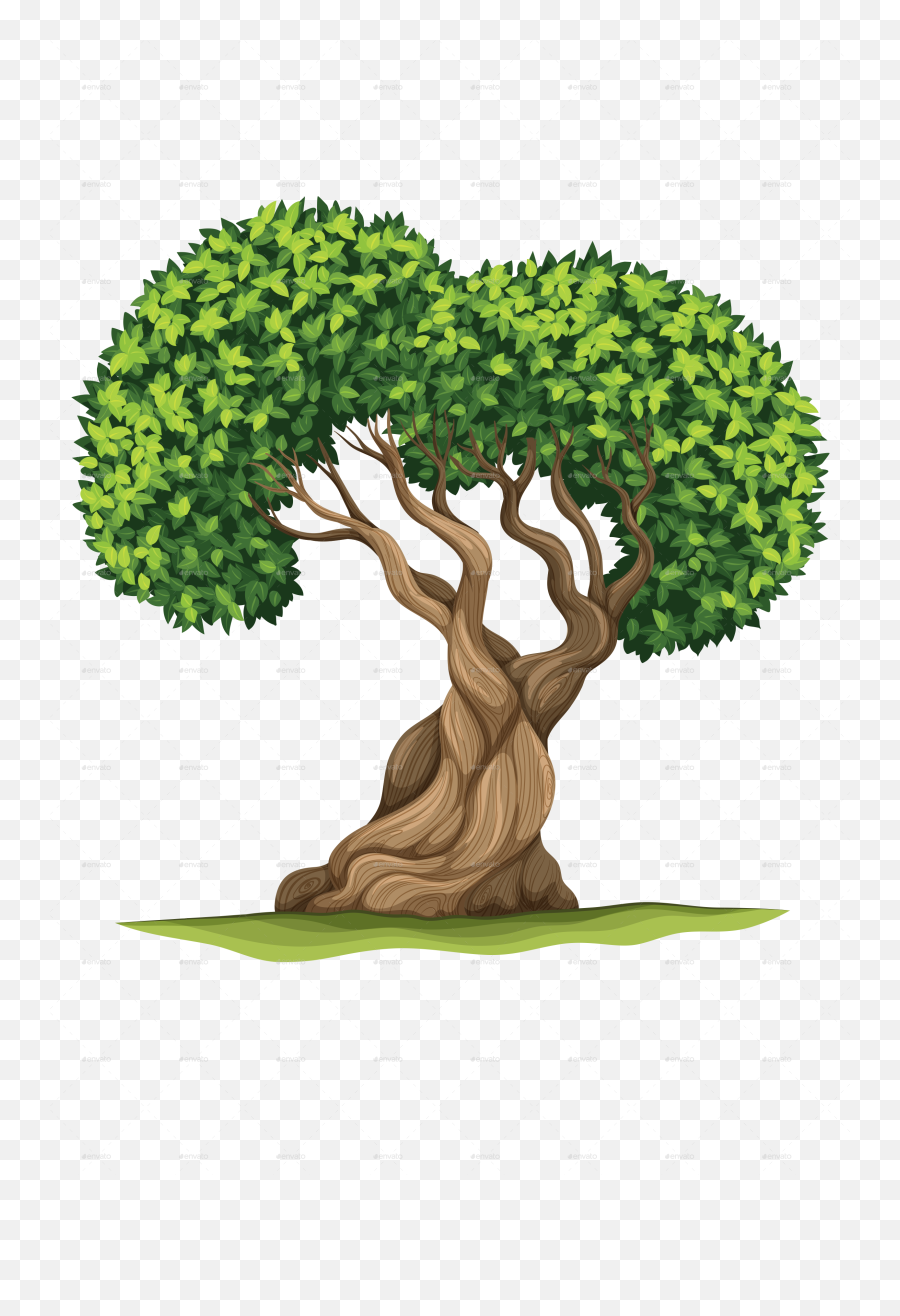 Trees Vectors - Tree Leaves In Different Colours Png,Tree Vector Png