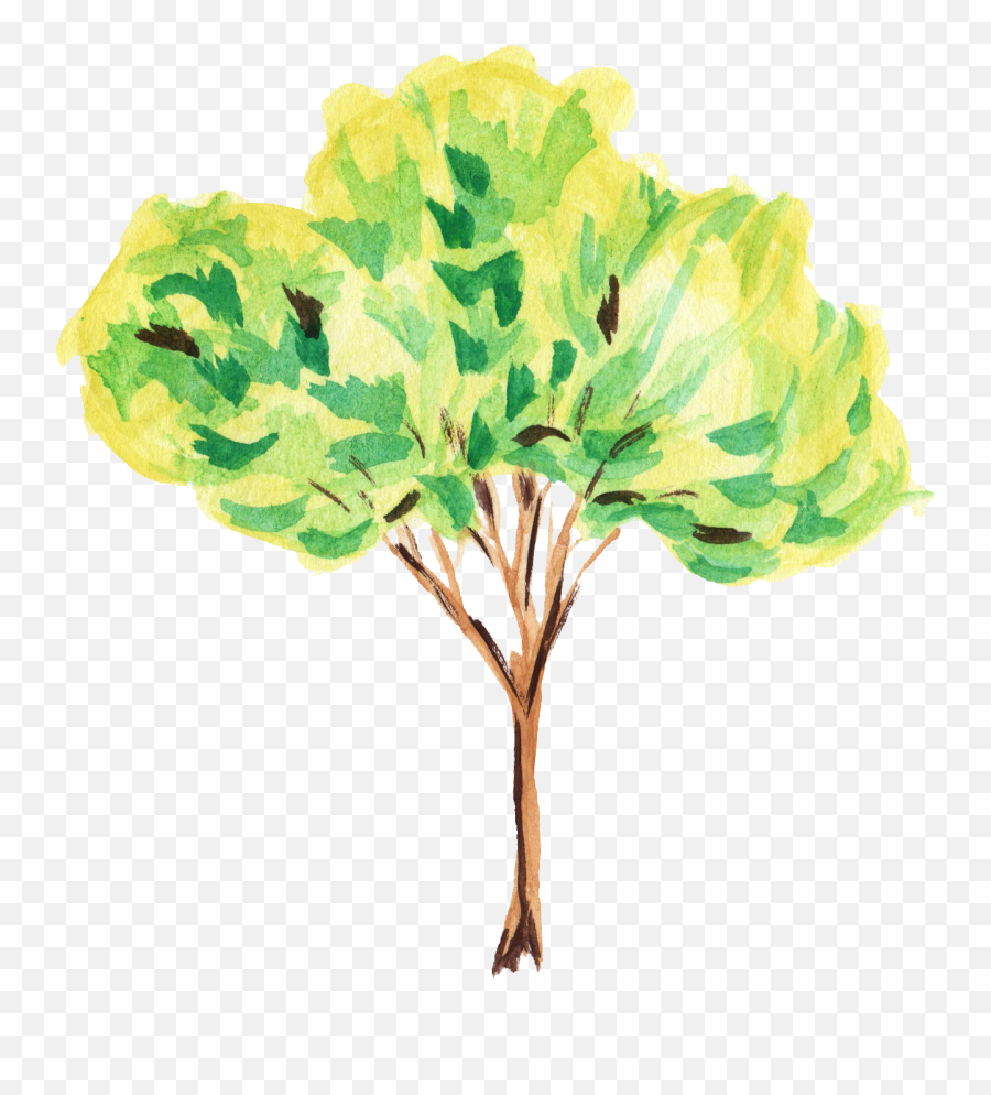 12 Watercolor Tree Transparent - Transparent Watercolor Trees Png,Watercolor Tree Png