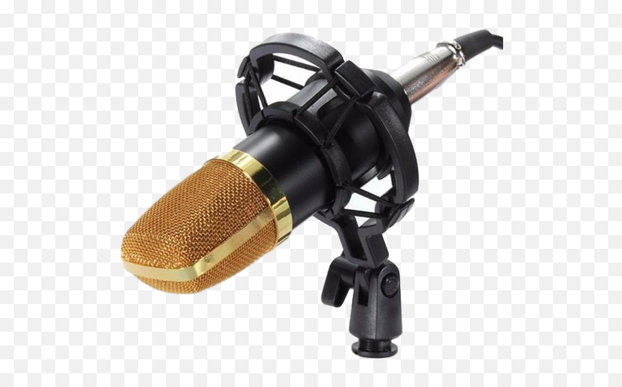 Download Hd Mcp02 Professional Studio Condenser Microphone - Bm 100 Microphone Png,Studio Microphone Png