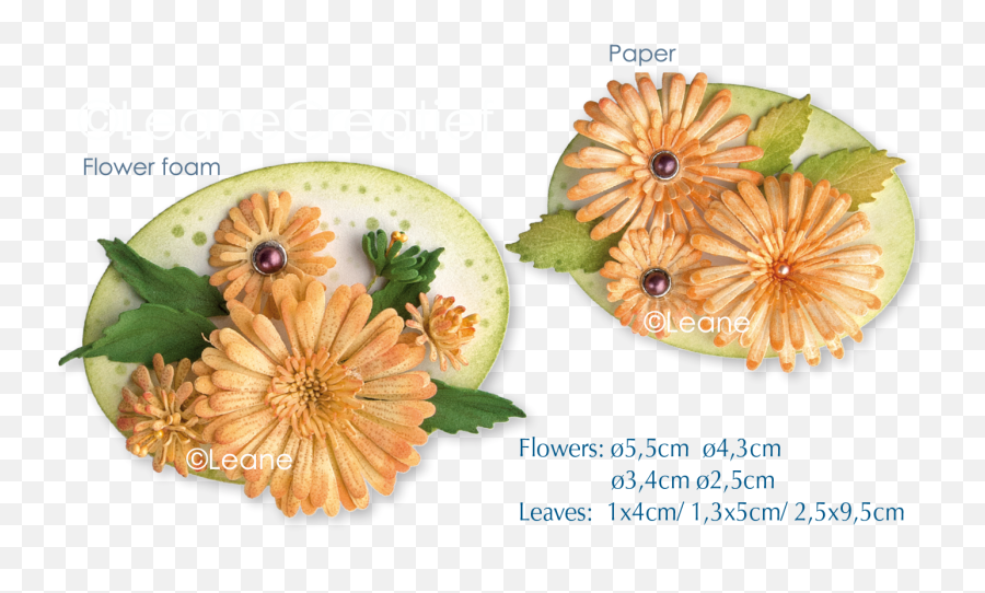 Download Picture Of Clear Stamp 3d Flower Chrysanthemum - African Daisy Png,Chrysanthemum Png
