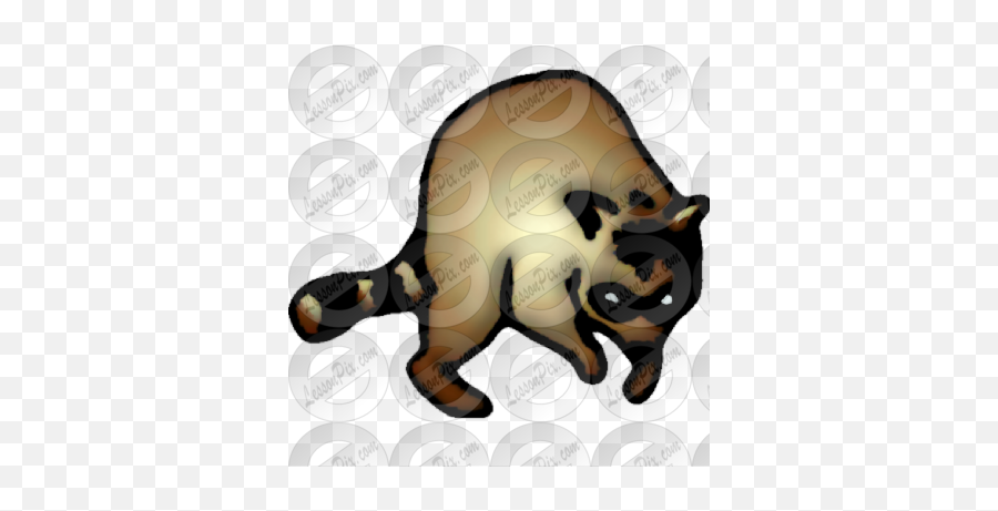 Racoon Picture For Classroom Therapy Use - Great Racoon Sloths And Anteaters Png,Racoon Png