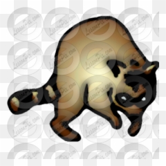 Racoon Picture For Classroom Therapy Use - Great Sloths And Anteaters png