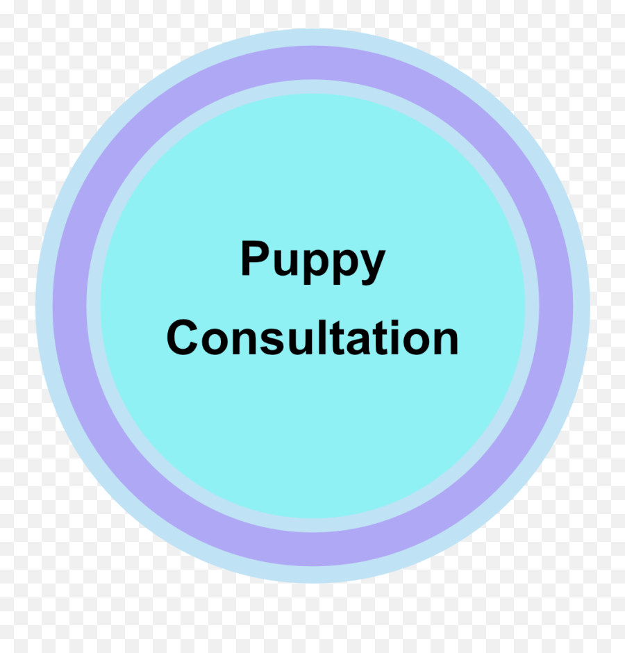 Positive Puppy Training For 21st Century Pups And Their - Consultation Room Png,Puppies Png