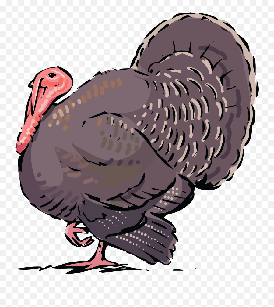 Free Png Clipart Of A Turkey Bird - Free Clip Art Turkey,Turkey Transparent