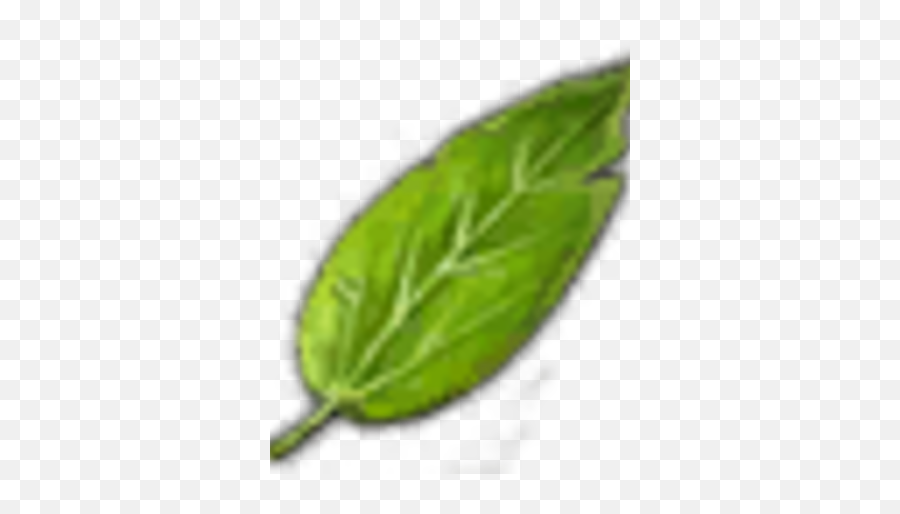 Foolu0027s Parsley Leaves Witcher Wiki Fandom - Vertical Png,Parsley Png